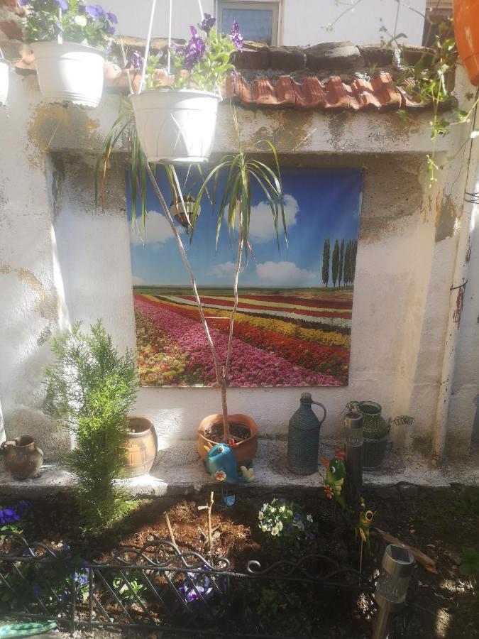 פלובדיב Central Park Garden Studio מראה חיצוני תמונה